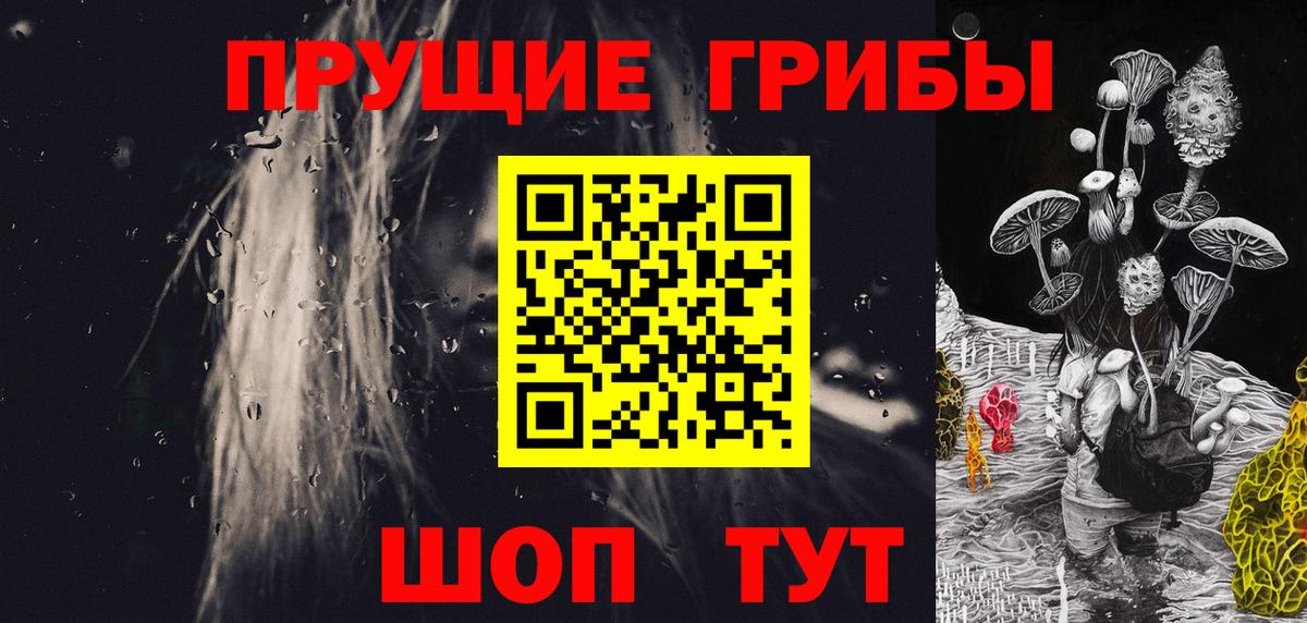 Лениногорск  Псилоцибиновые грибы Psilocybe  Псилоцибиновые грибы Psilocybe  Вход с VPN 